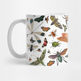 Vintage Insect Illustration on White Pattern Mug